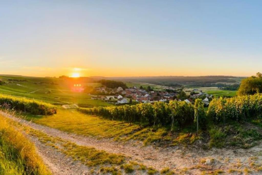 Cottage, Lodge & Spa Prouilly Экстерьер фото
